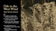 west_wind_easy